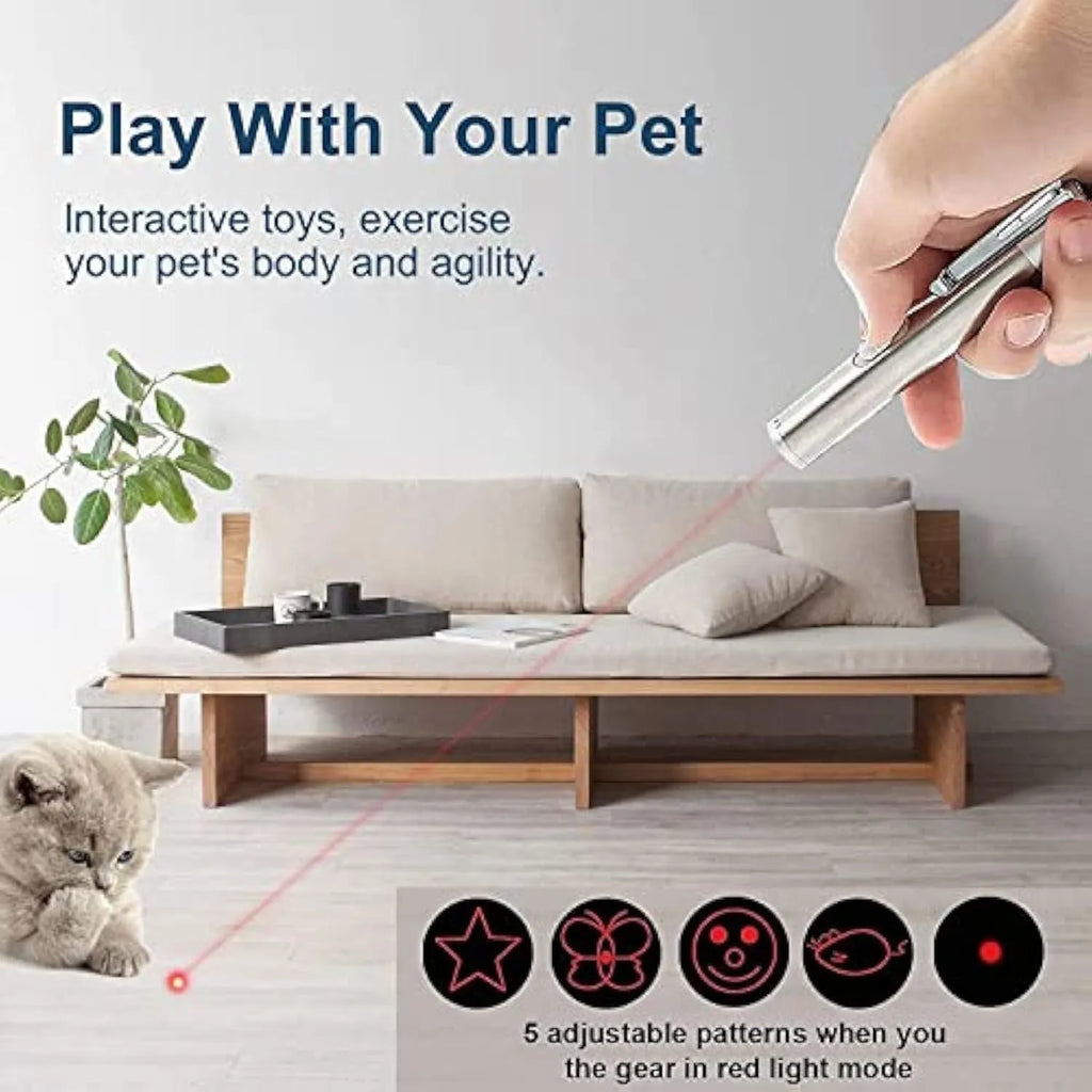Silver aluminium alloy cat laser pointer toy with USB charging port and pattern selection