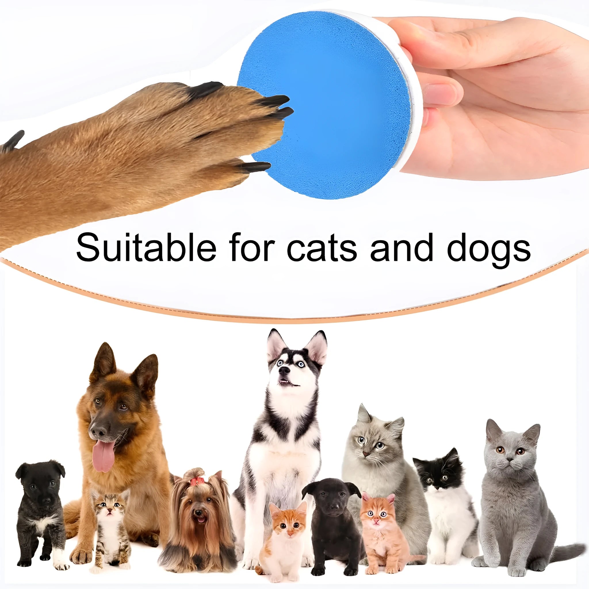 Upgraded round dog nail file scratch board with ergonomic handle in blue colour