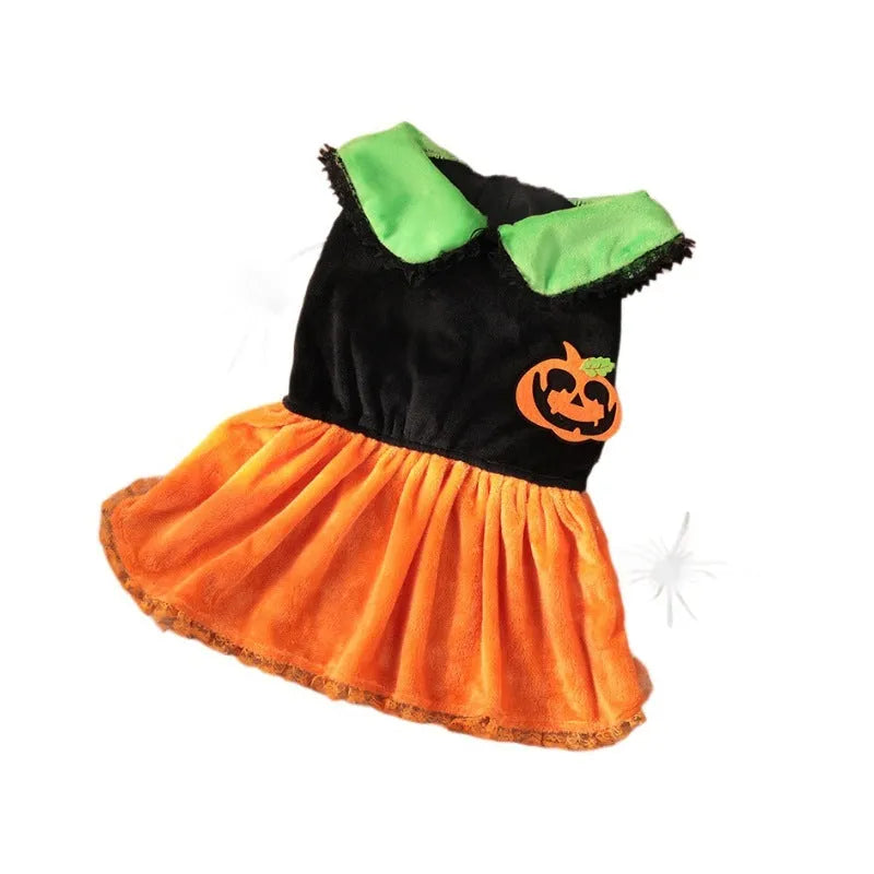 Halloween pet costume: orange pumpkin skirt and sweater for dog or cat made from crystal velvet fabric