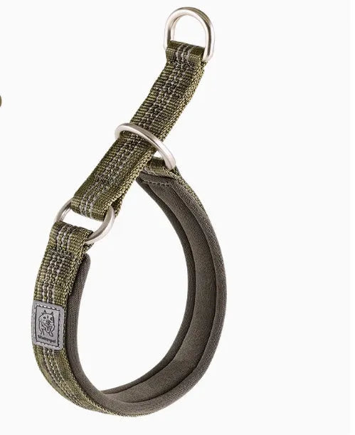 Dog P chain walking collar in nylon webbing with aluminium alloy hardware, available in multiple sizes and colours
