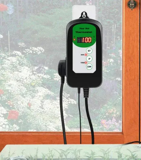Digital temperature and humidity controller with display showing readings, compact plastic housing measuring 155mm