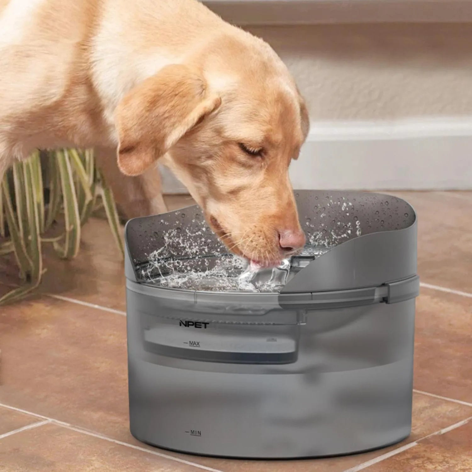 Automatic pet water fountain for cats and dogs with a water pump and filter cartridge.