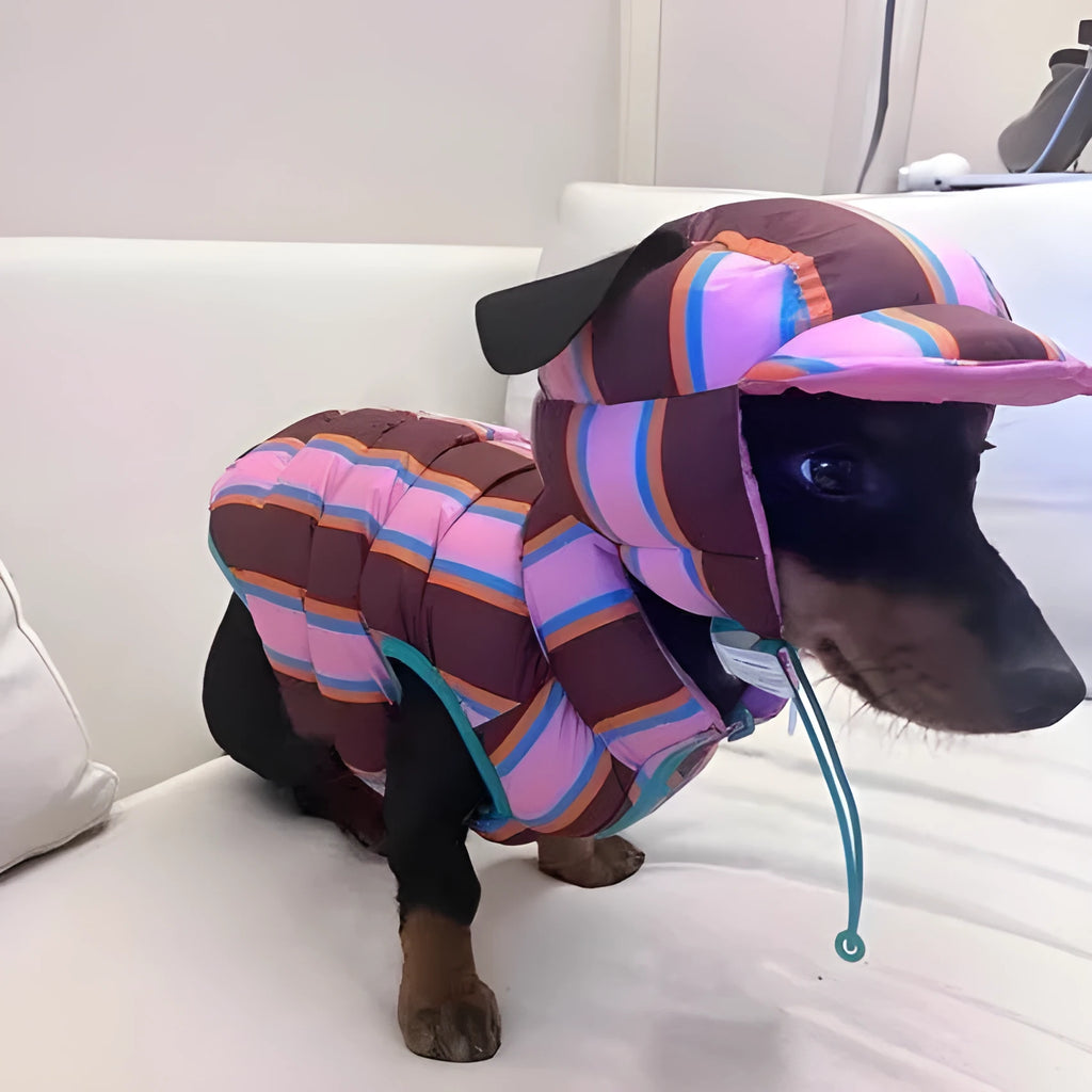 Dirty pink striped polyester dog vest with a matching winter hat for small breed dogs.