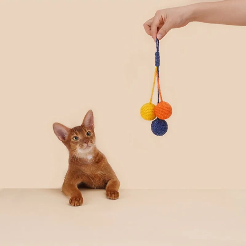 Cat toy set with blue teaser wand featuring a catnip ball and a separate self-play toy on a white background.