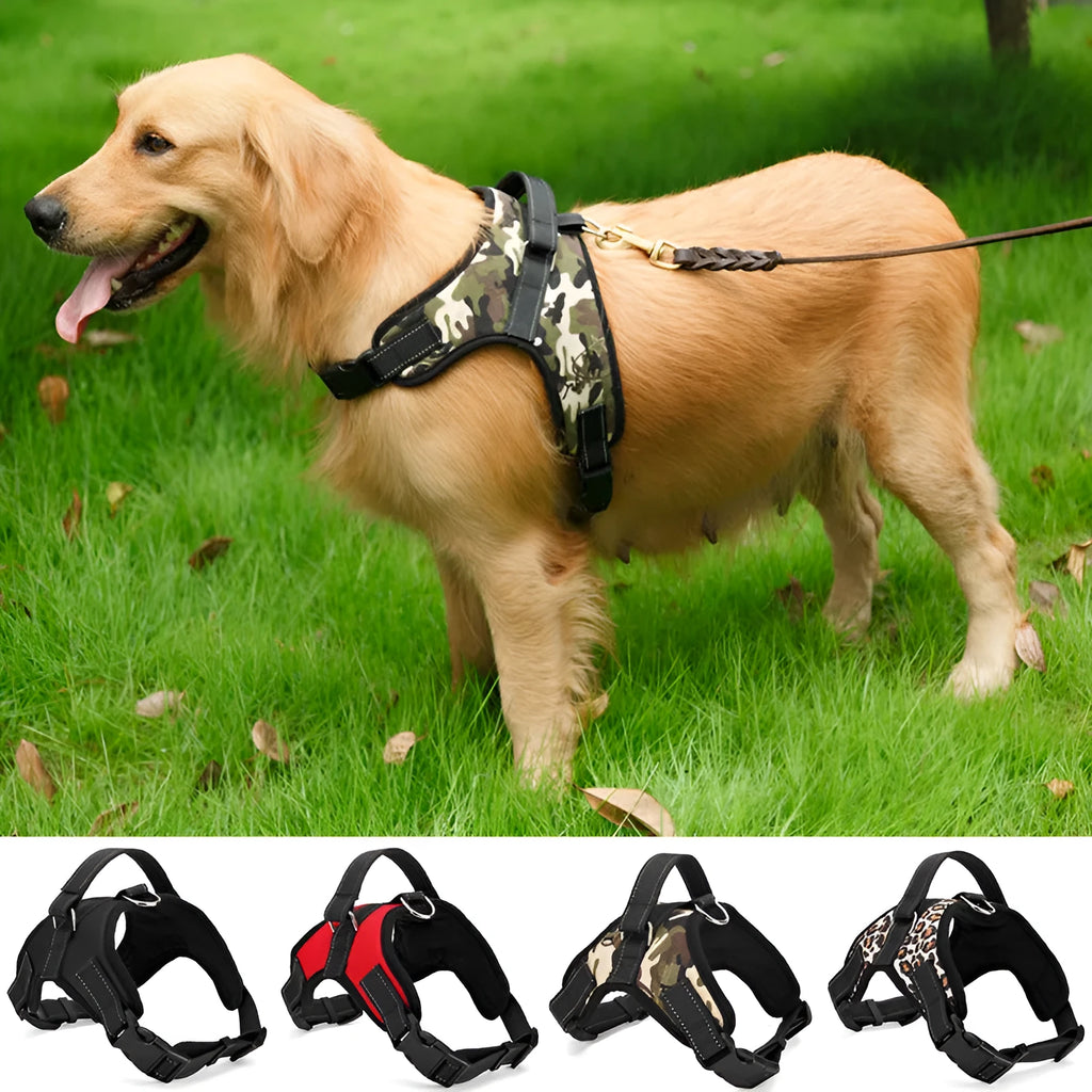 Black nylon dog collar with matching lead on a dog's neck, set on a plain background.