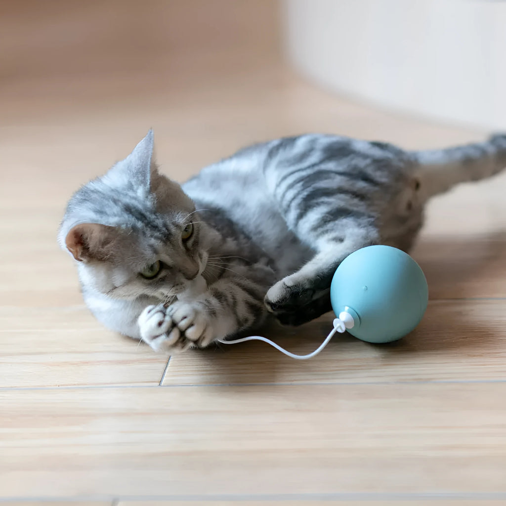 Electric cat toy moving toy ABS plastic 7x7x15 cm pink blue white colour options