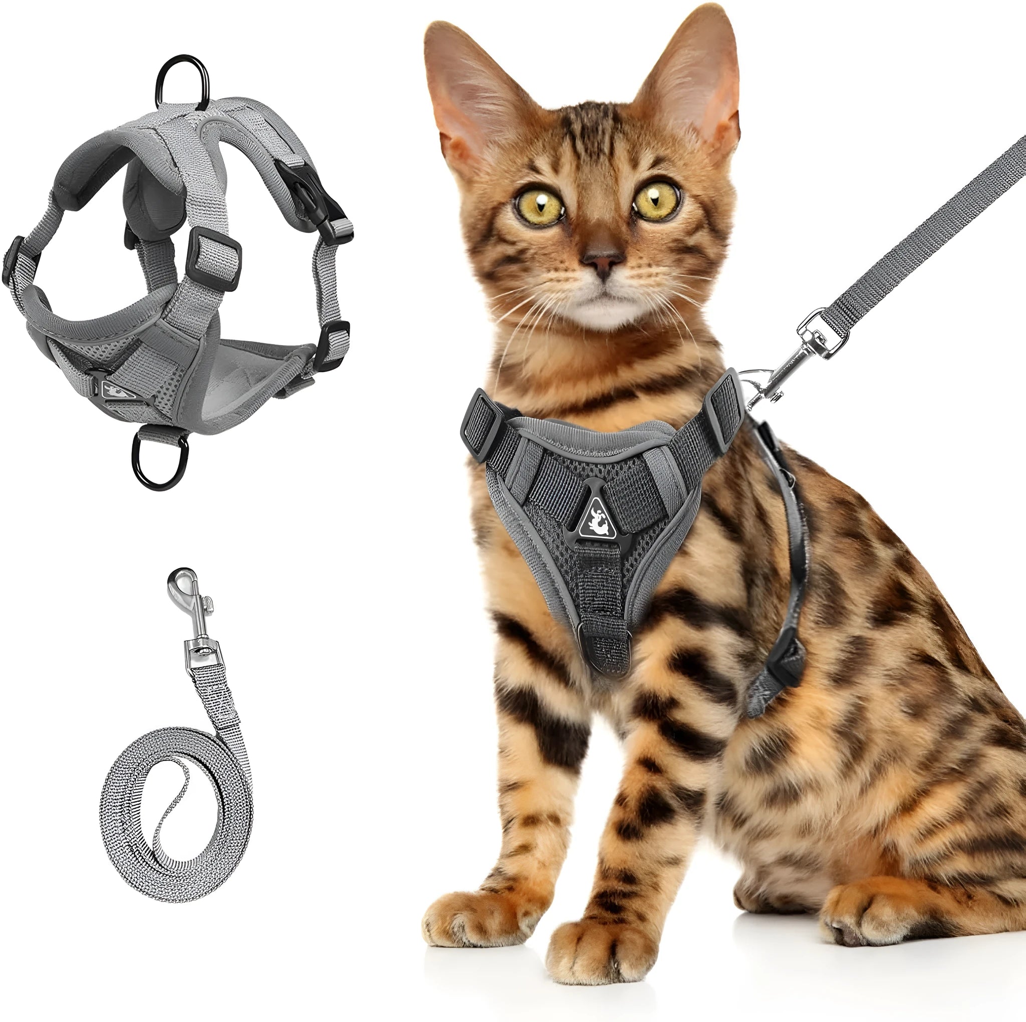 Blue adjustable mesh cat harness with reflective strips and leash for outdoor walks