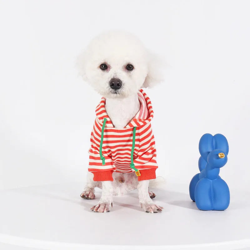 Orange cotton hooded dog sweater on a mannequin, Japanese Korean style