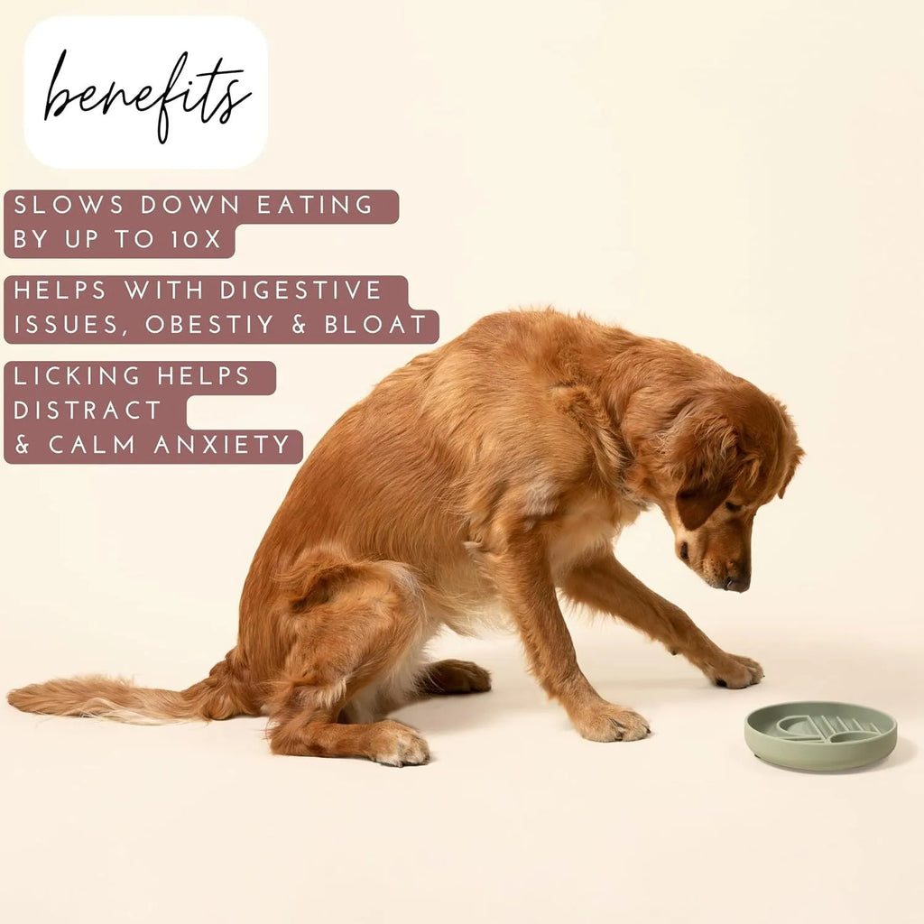 Silicone slow feeder dog bowl with ridges in beige, charcoal, blue, yellow, green, or red