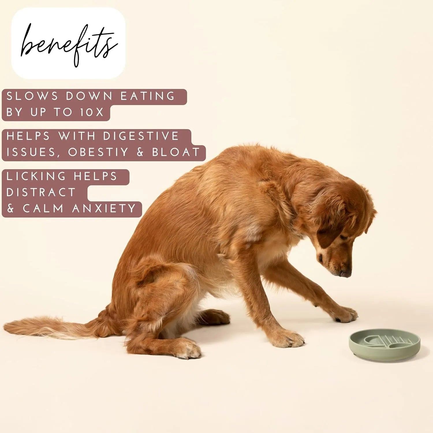 Silicone slow feeder dog bowl with ridges in beige, charcoal, blue, yellow, green, or red