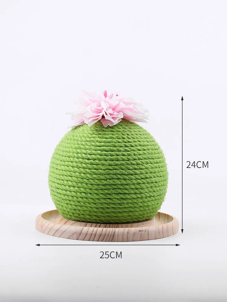 PP cactus shape cat grinding paw toy for vocal play, shown in Cat head type, Circular, or Rotary table type colour option.