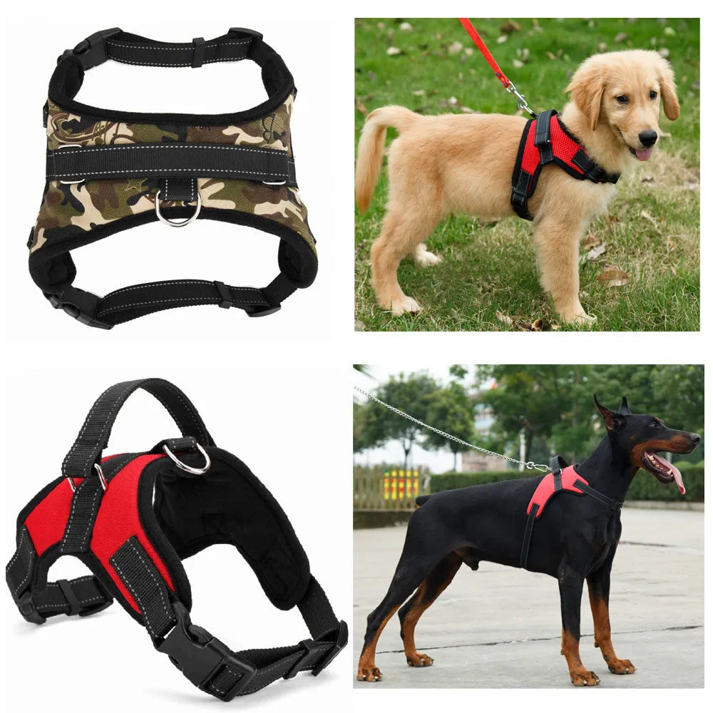 Black nylon dog collar with matching lead on a dog's neck, set on a plain background.