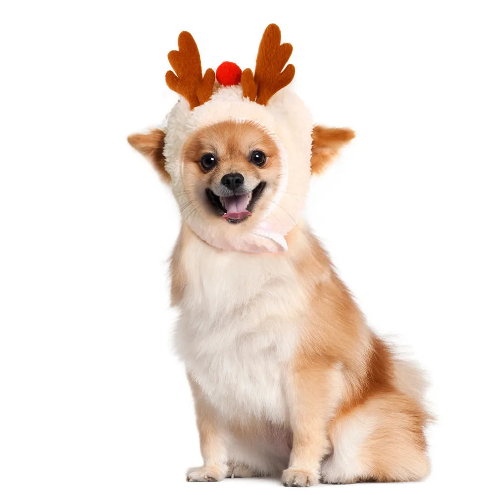 Christmas pet costume with white reindeer antler hat and green velvet bib on small pet