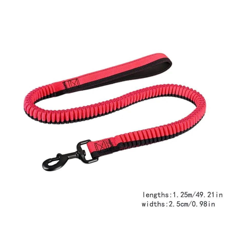 Green elastic dog training leash with metal clip for medium and large breeds