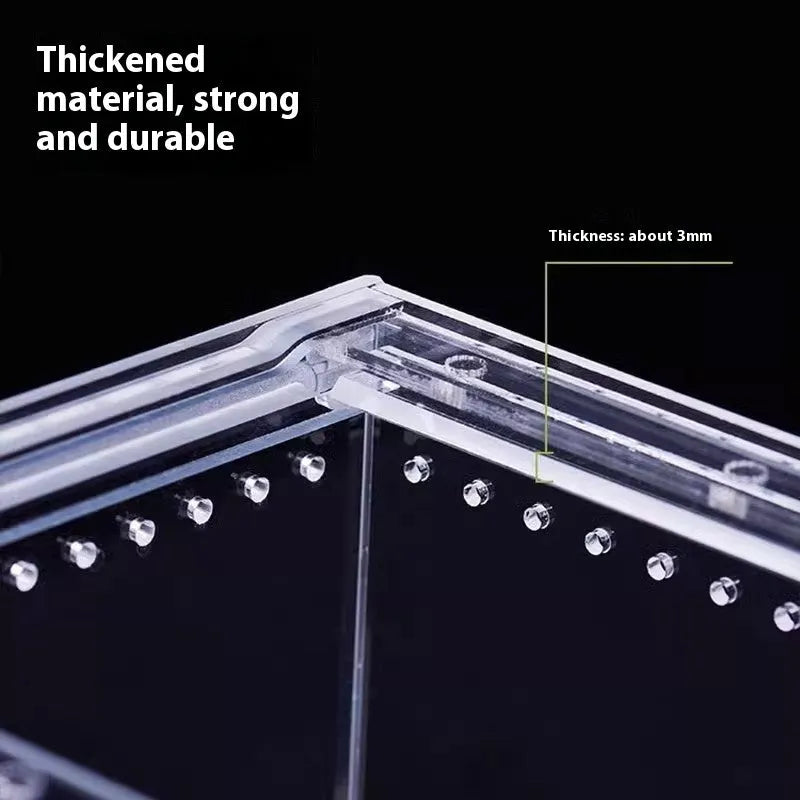 Clear acrylic reptile feeding box with five size options for different reptile species