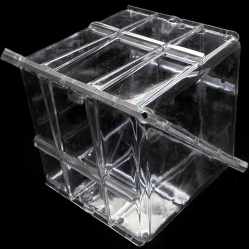 Square plastic watermelon growth mould with 13cm internal dimensions for shaping uniform fruit