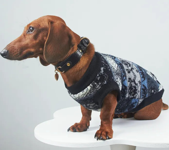 Blue geometric pattern thick warm pet vest on small dog, autumn winter clothing