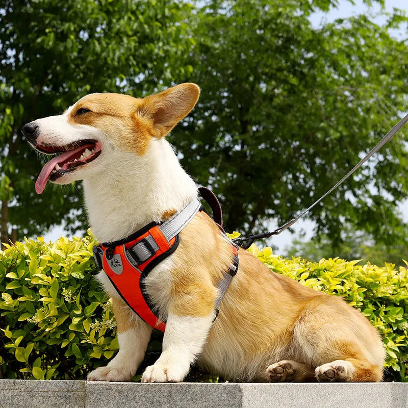 Polyester dog harness vest with hand-holding rope in multiple colour options