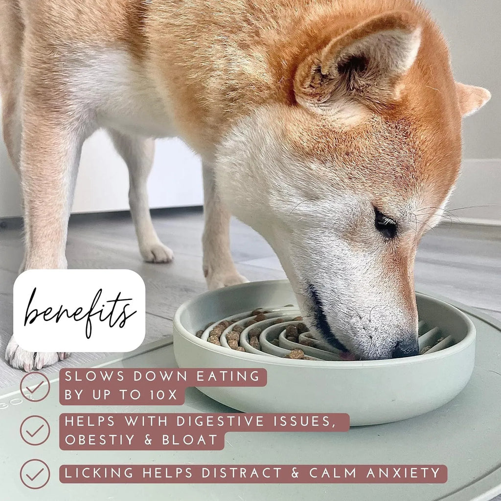 Silicone slow feeder dog bowl with ridges in beige, charcoal, blue, yellow, green, or red
