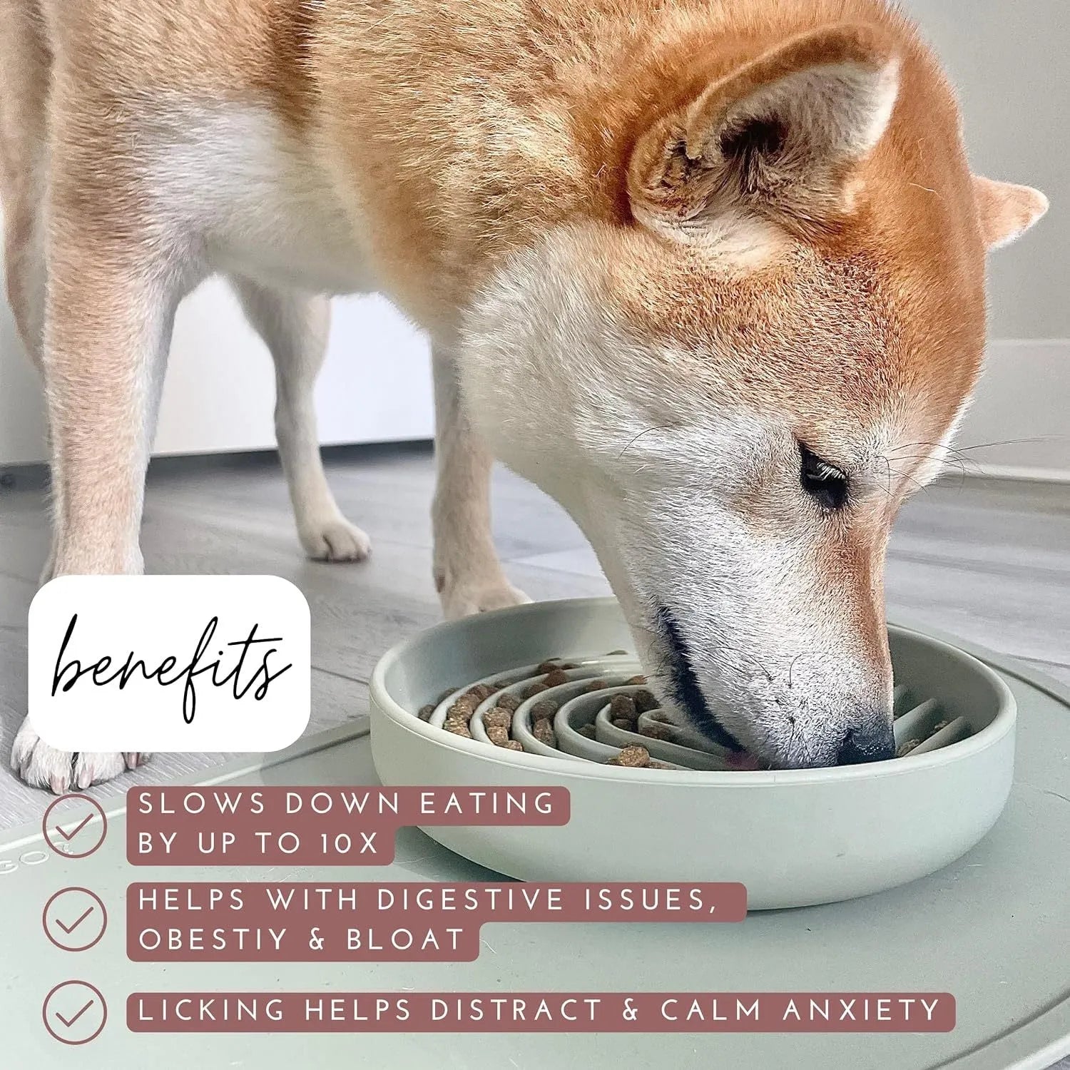 Silicone slow feeder dog bowl with ridges in beige, charcoal, blue, yellow, green, or red