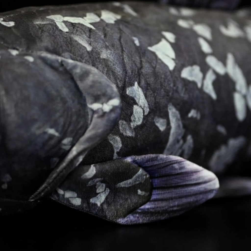 52cm printed coelacanth plush toy in black, made of soft plush and PP cotton filling