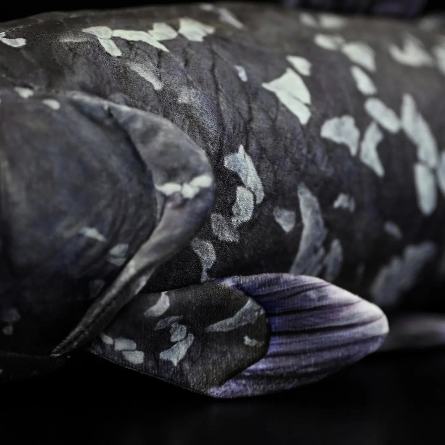 52cm printed coelacanth plush toy in black, made of soft plush and PP cotton filling