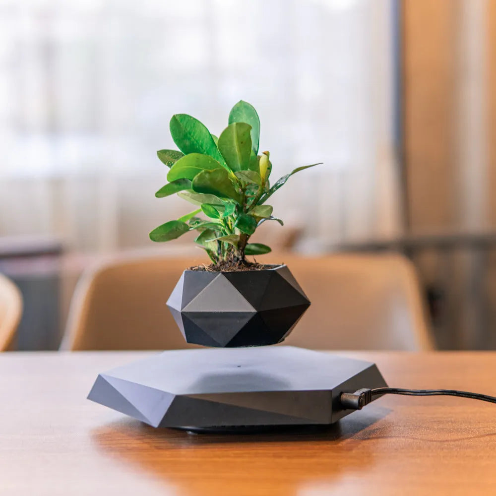 Hexagonal wood grain magnetic levitating flower pot floating above its base with a small air plant inside