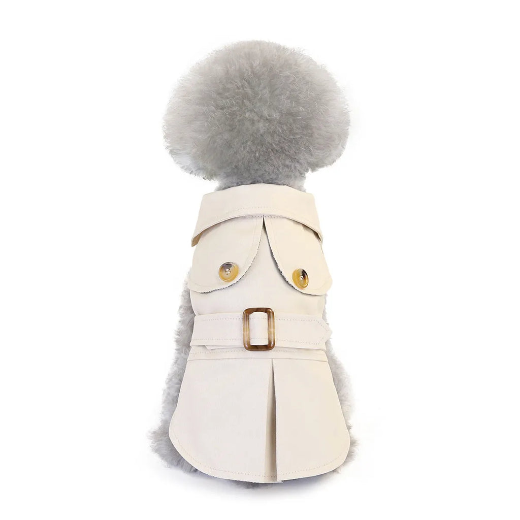 Three-colour windbreaker dog coat for small dogs in blue, green, or khaki, sizes S to XXL.