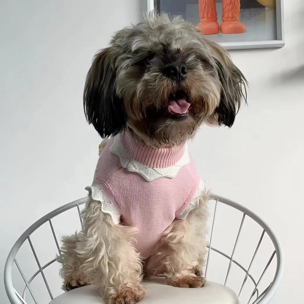 Green floral print knitted sweater for a small dog showing the fit and blossom pattern.