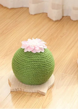 PP cactus shape cat grinding paw toy for vocal play, shown in Cat head type, Circular, or Rotary table type colour option.