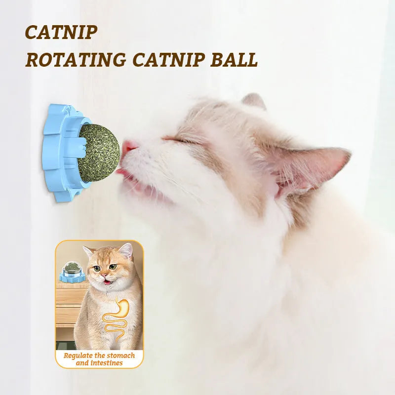 Orange PP plastic cat toy shaped like a molar tooth with textured chewing surfaces