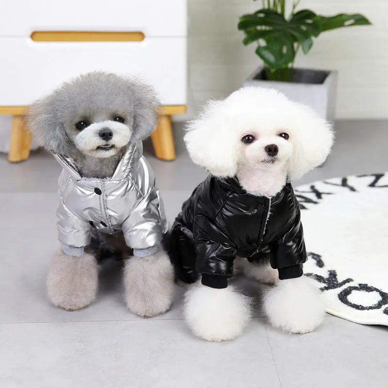 Pet dog waterproof autumn winter padded jacket in black cotton four-legged coat on white background