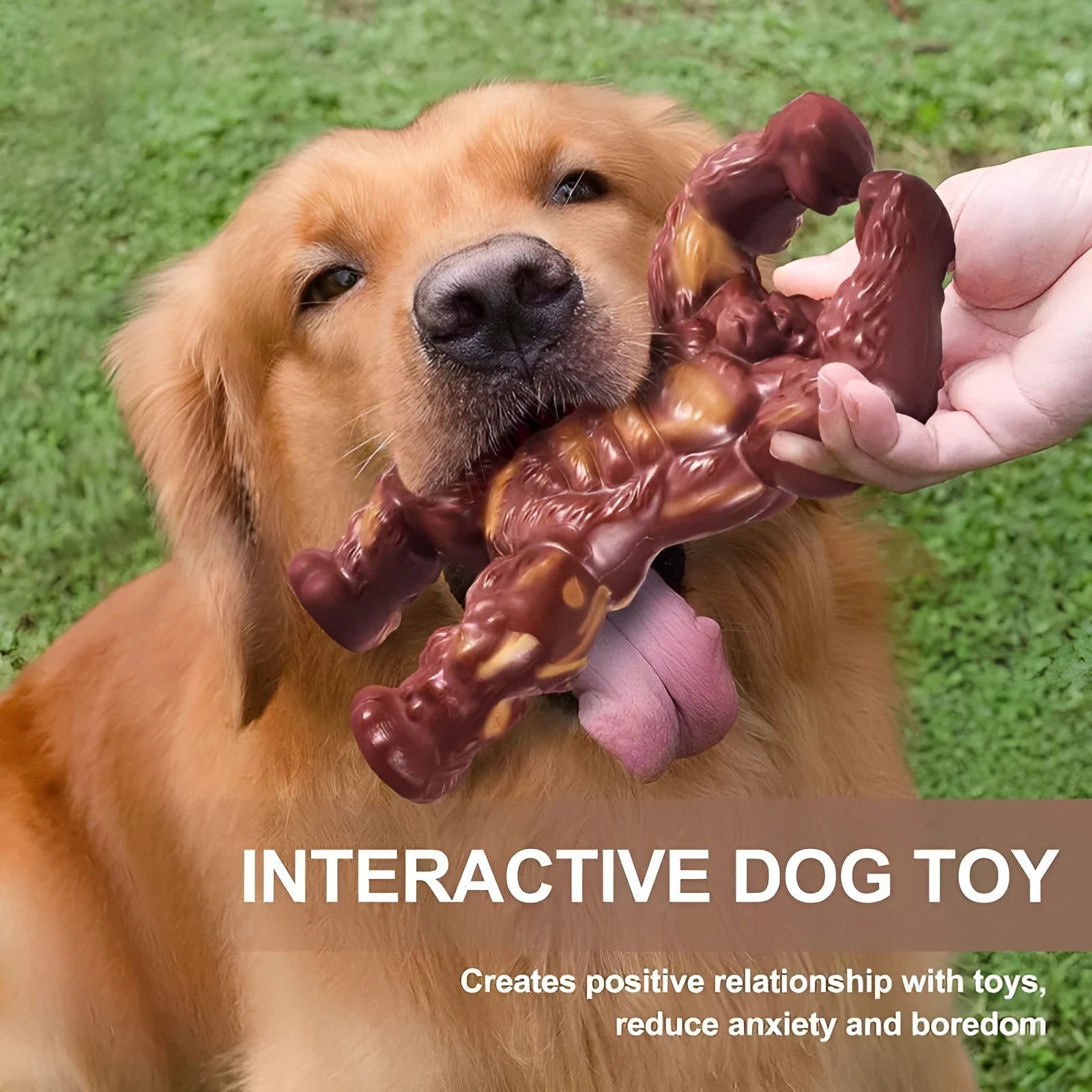 Scarlet red nylon dog chew toy with molar texture and beef flavour coating