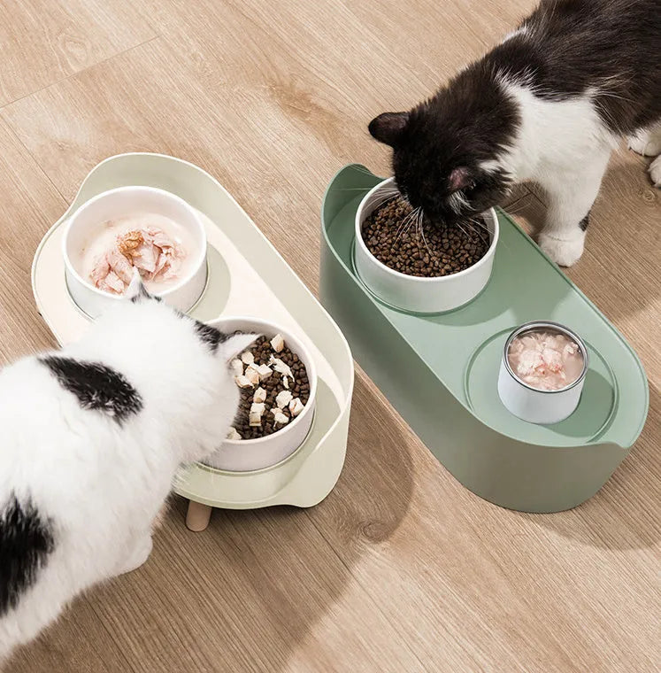 Green adjustable double-bowl pet feeder with tilted design for cervical support