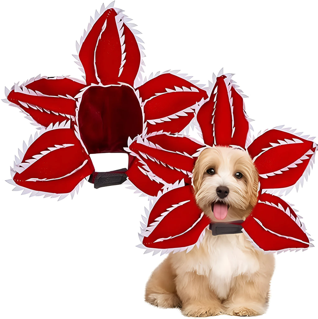Dog wearing Halloween costume with demon hat headband and flower collar