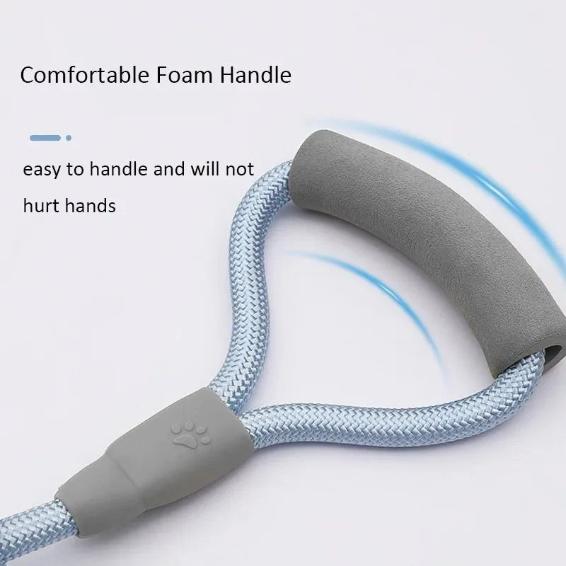Double dog leash for two dogs with nylon rope and soft foam handle in blue colour