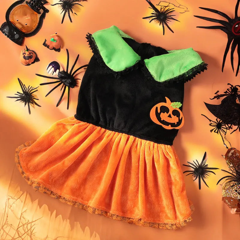 Halloween pet costume: orange pumpkin skirt and sweater for dog or cat made from crystal velvet fabric