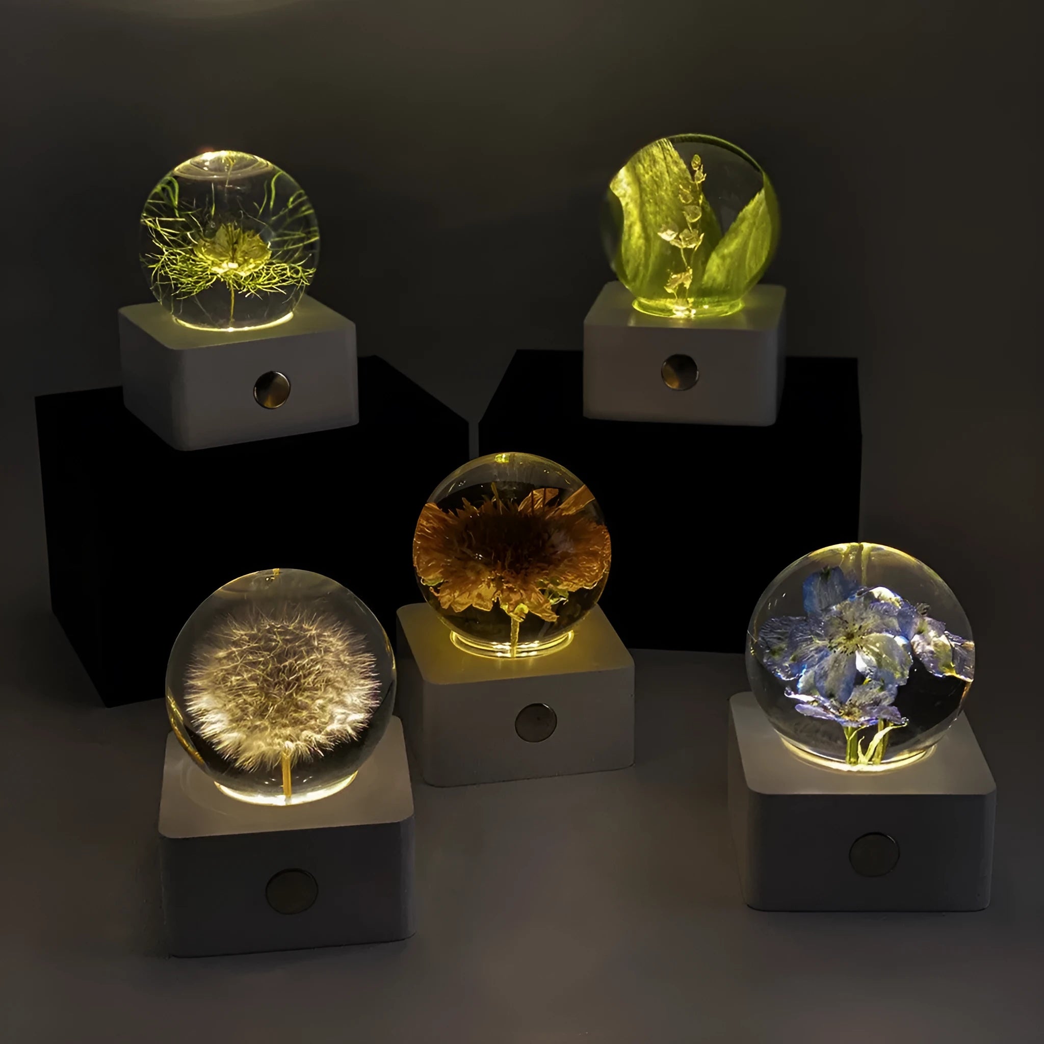 8cm dandelion and sunflower specimen night light with USB cable on a desktop.