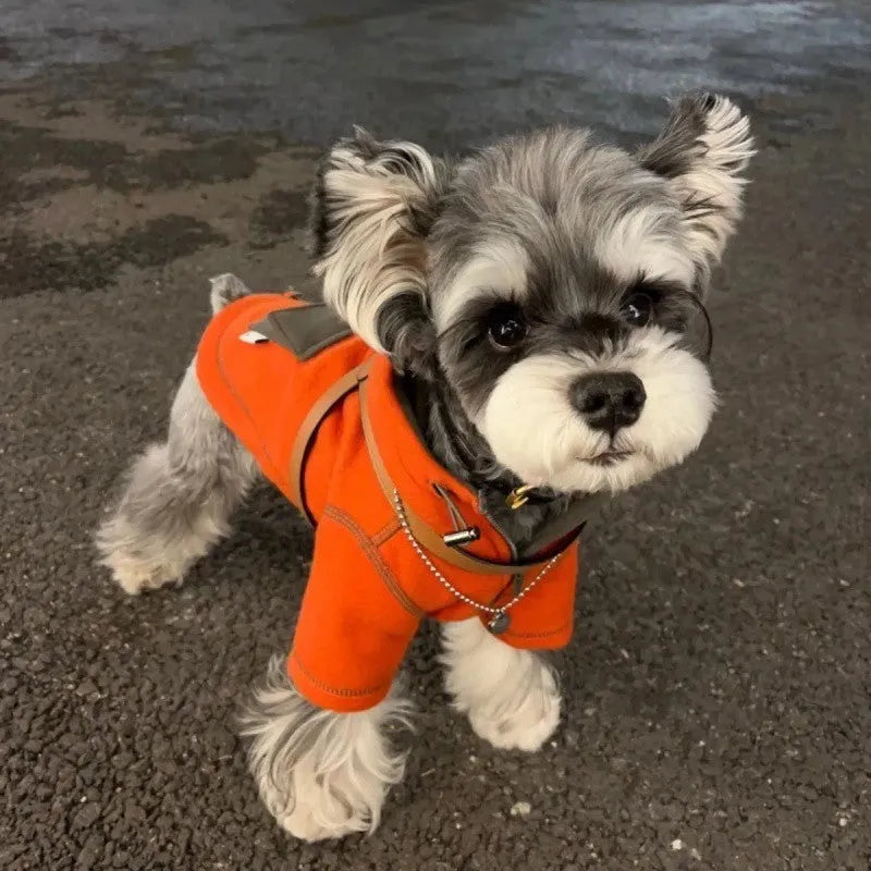 Red polyester hooded sweater for small dogs with two feet openings on a neutral background