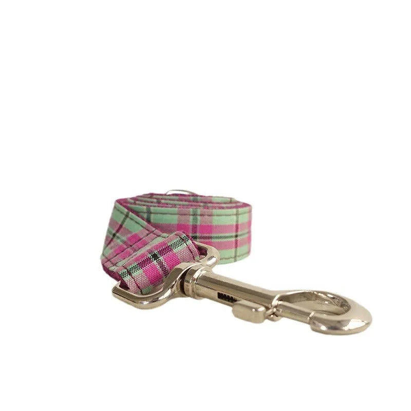Mint zigezi coloured polyester dog collar and matching traction rope leash laid flat.