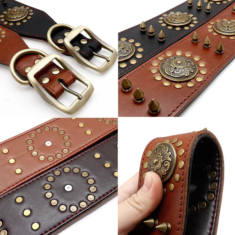 Real leather stud dog collar in brown with metal spikes for large pitbull and bulldog breeds