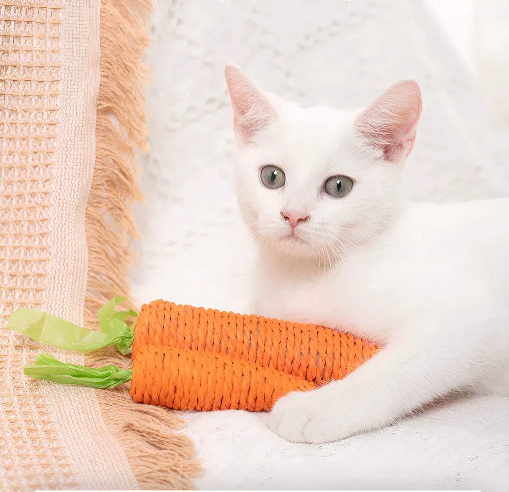 Set of assorted cat toys including fabric carrots, plastic ringing stones, paper crinkles, and wooden grinding sticks