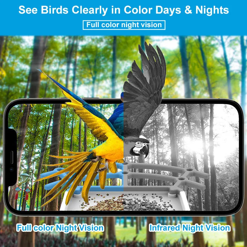 Q40 intelligent bird feeder in sky blue with solar panel and HD camera for garden birdwatching