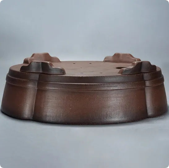 Large classical purple clay bonsai pot with simple green plant styling.