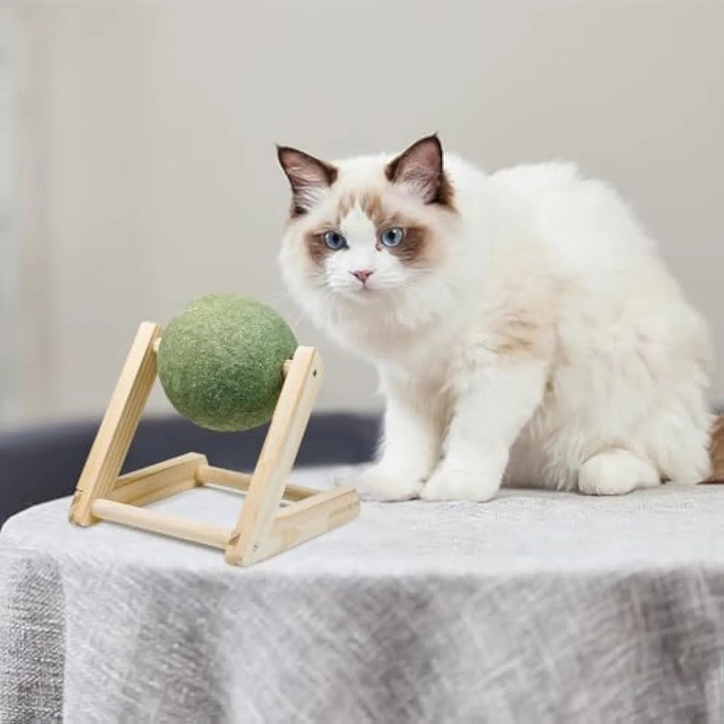Giant green catnip ball with wooden holder for indoor cats, available in sizes L and S