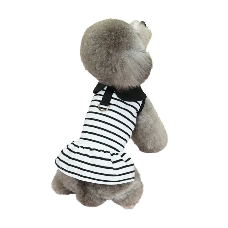Pet dog wearing striped cotton T-shirt and matching skirt summer outfit set