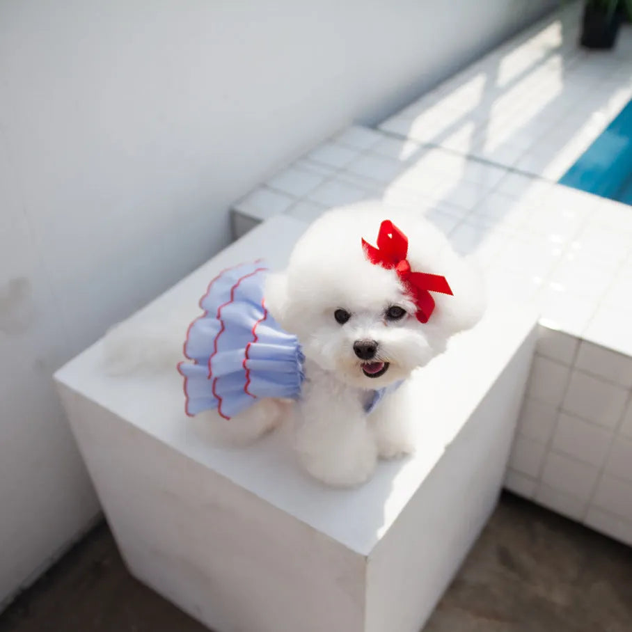 Summer thin pet princess dress in polyester, suspender skirt cartoon style, sizes XS to XL