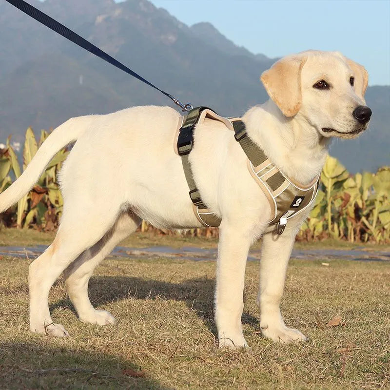 Explosion-proof cloth chest strap vest for medium large dogs in multiple colour options