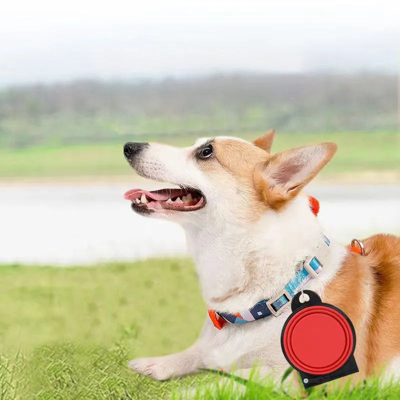Blue silicone folding pet bowl showing two compartments for food and water in unfolded position