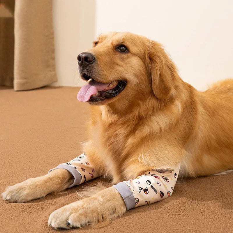 Blue adjustable dog knee protector wrap with a matching scarf on a medium-sized dog